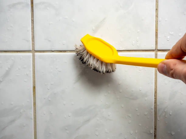 Best Mold Remediation for Specific Building Types in Union City, MI