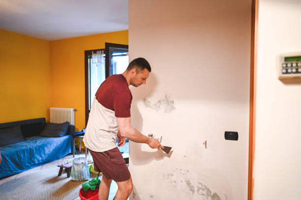 Best Attic Mold Remediation in Union City, MI